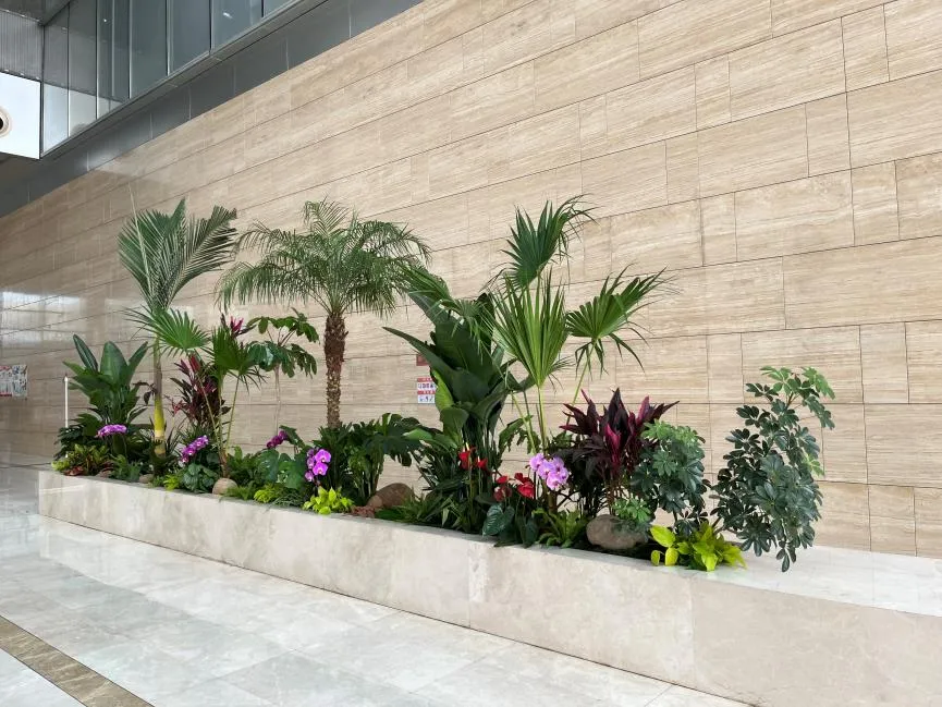 揭秘宁波余姚绿化修剪，守护城市绿色之美